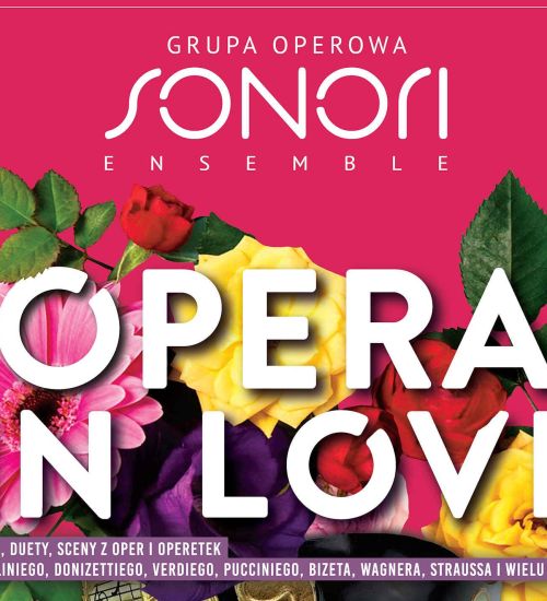 https://www.bck.usermd.net/sites/default/files/poziom_opera.jpg